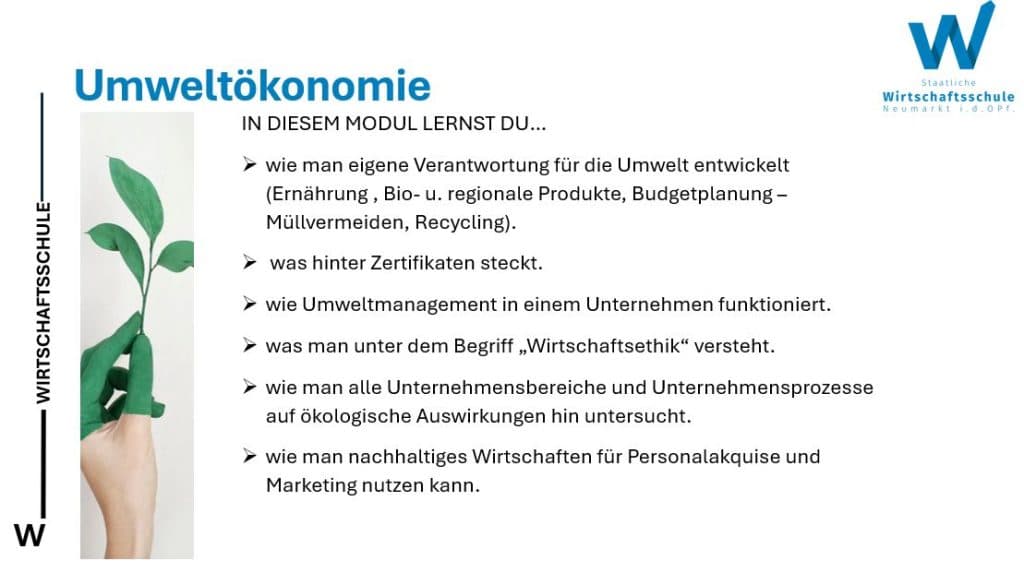 umweltökonomie